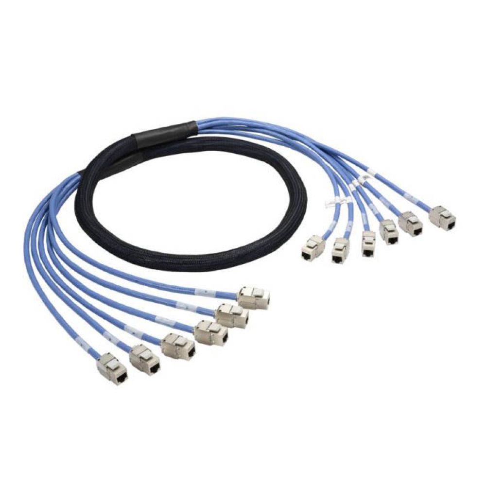 Trunk Cable Pre-Terminated Copper Trunk Assembly Cables | EXW Network Solutions