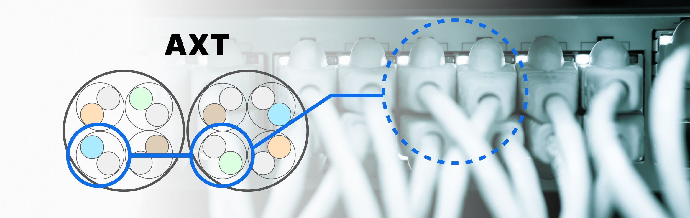 6-Around-1 Testi Neden Önemlidir?