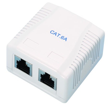 Caja de montaje en superficie Cat.6A de 2 puertos, Soluciones avanzadas de  enchufe modular para aplicaciones críticas de red
