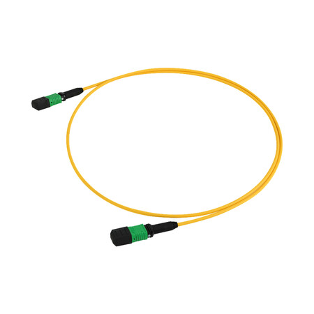 MTP/MPO Array Cable for 400G & 800G | 8F-32F | EXW - MTP/MPO Array Cable