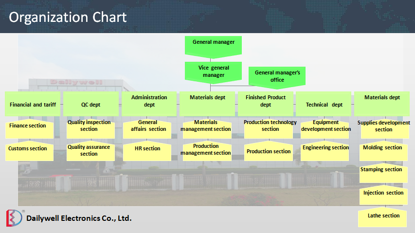 Organigramma dell'organizzazione DAILYWELL