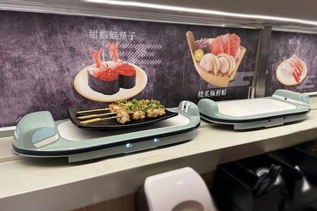 Macchina per sushi, espositore automatico da tavolo rotante Vassoio  oscillante Piatto girevole Nastro trasportatore ferroviario per uso  domestico Espositore per dessert per sushi per kit per feste a casa