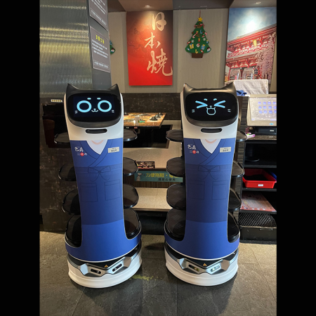 Seding-Hongjiang-상업 서비스 로봇