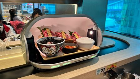 Food Delivery Robot (Bullet-Train) Space-capsule Single - The Perfect Choice for All Types of Meals!