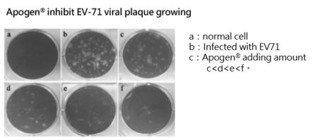 Journal of Medical Virology