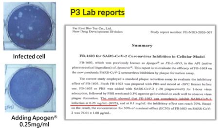 FB-1603 for SARS-CoV-2 Coronavirus Inhibition in Cellular Model