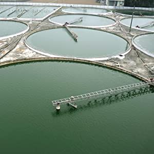 Cultivé et fabriqué à Taïwan