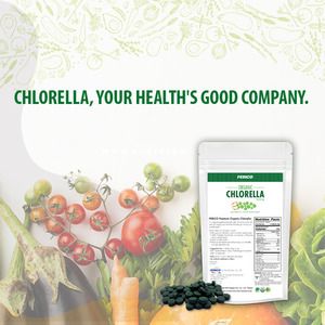 Strengthen The Immune System