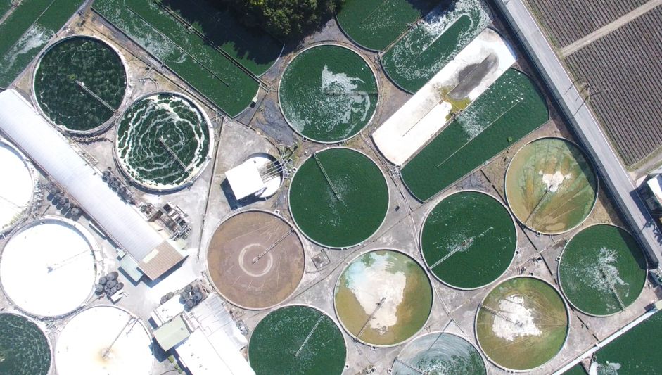 FEBICO ESG development