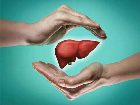 Ajude a proteger o fígado contra danos