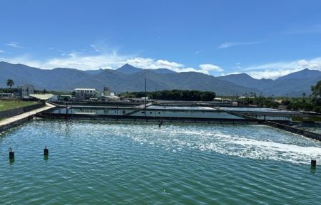 FEBICO algae farm view