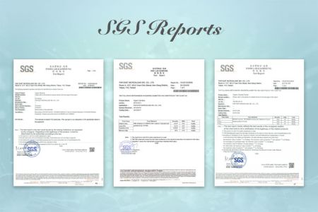Relatório SGS Febico