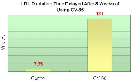 Die Zeit bis zur Oxidation von LDL wird signifikant verzögert
