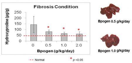 Reducir la condición de fibrosis
