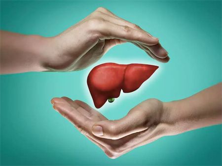 Liver Health