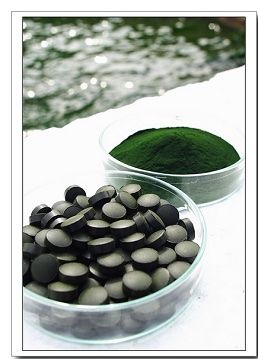 spirulina tablet