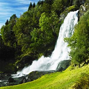 La qualità dell'acqua di sorgente di montagna per le microalghe