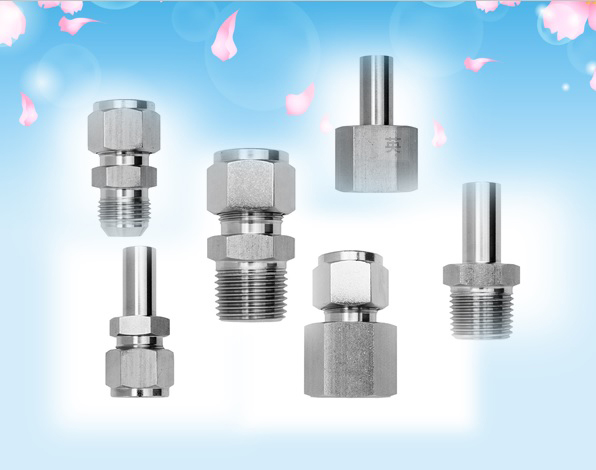 Instrument Fittings for Double Ferrule Fittings, Pipe Fittings etc