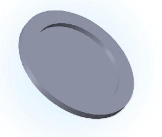 NW Blank Flange (Jis Type)