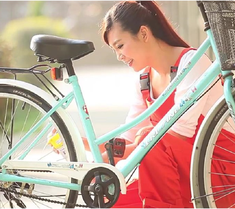 Paint for Bike