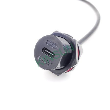 PENGLIN 2 Pezzi USB 3.1 Tipo C Con Presa Di Prova PCB Maschio A Femmina 24p 2 54mm Connettore Femmina Per PENGLIN 2 Pezzi USB 3.1 Tipo C Con Presa Di Prova PCB Maschio A Femmina 24p 2 54mm Connettore Femmina Per
