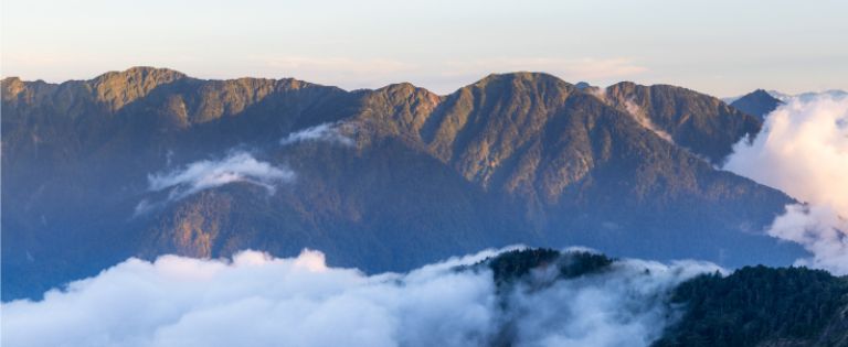 深根台湾 在地品牌
