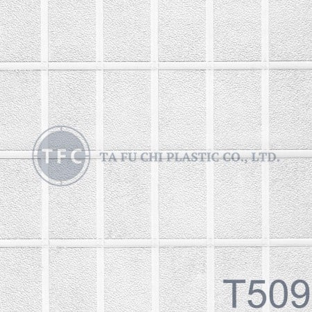 T509