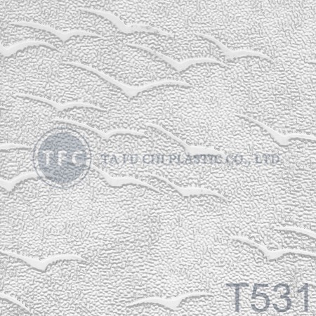 T531
