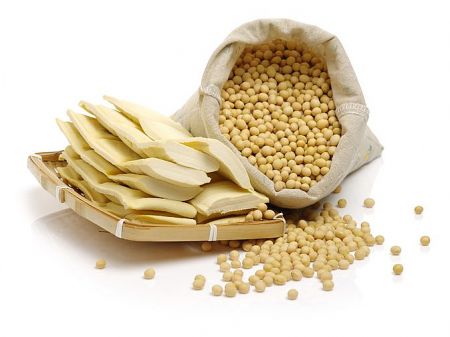 黃豆製品的營養價值與加工知識 - 碗中的黃豆與加工後的豆干，展示黃豆製品豐富的植物性蛋白來源