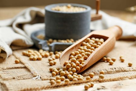大豆攝取有助降低乳癌風險 - 木勺中的生黃豆，象徵天然黃豆製品有助於降低乳癌風險