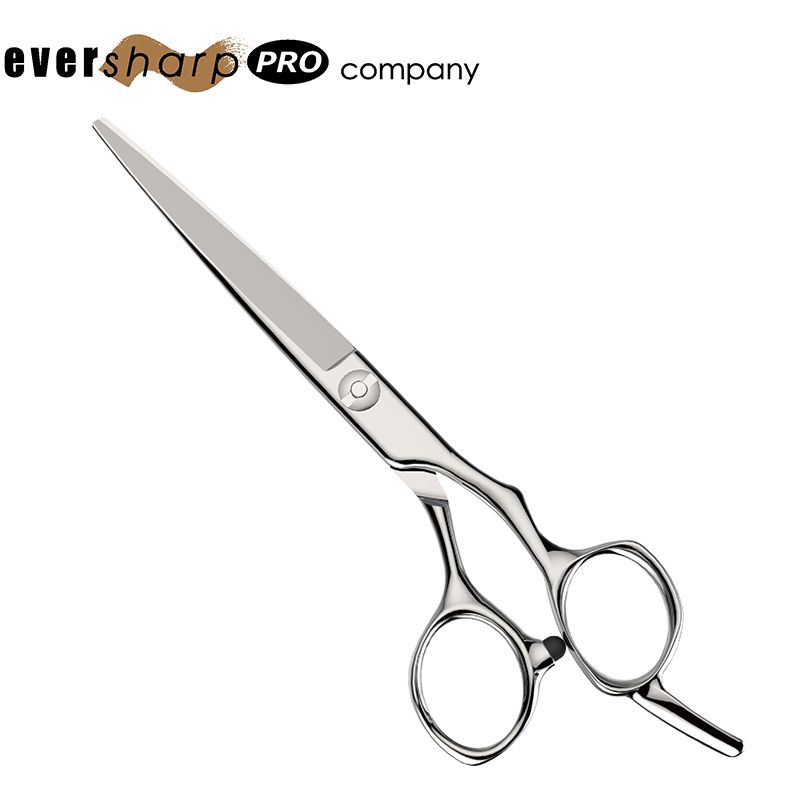 Personal-01職業理髮鍛造剪刀。