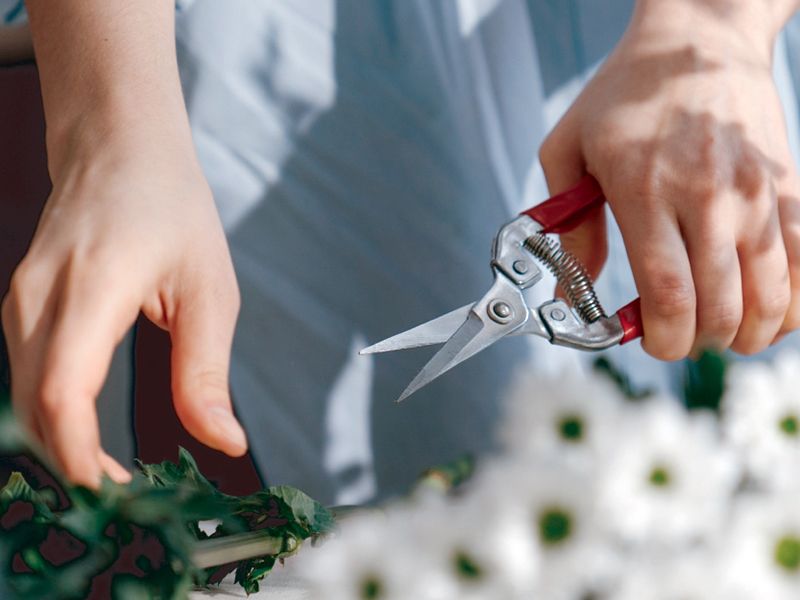 Garden Scissors manufacturing