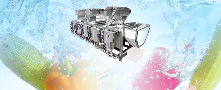 Auto Flip-type Veg Washing M/C
