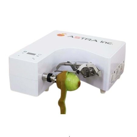 Fruit Peeling Machine