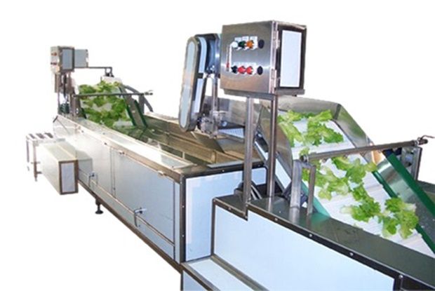 Leafy Vegetables Washer