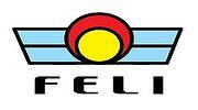 FELI TECHNOLOGY CO., LTD.