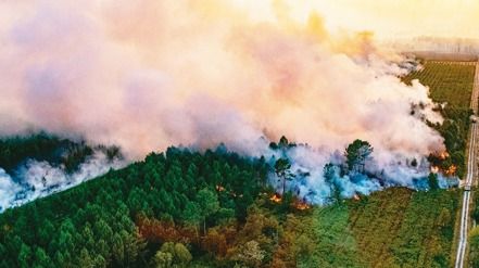 欧洲近来遭逢热浪侵袭,加剧法国、西班牙及葡萄牙等地的野火灾情。 (美联社)