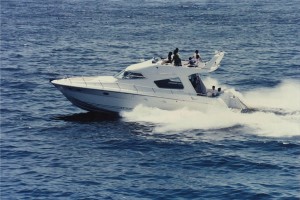 F46 Fly