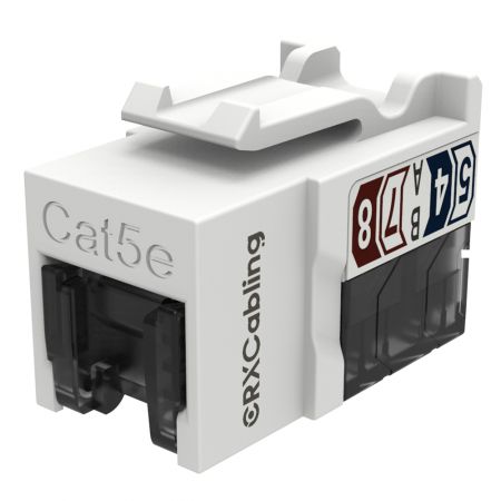 Toma de keystone RJ45 UTP Cat.5E delgada con obturador. - Toma de pared Ethernet RJ45 UTP Cat.5E con obturador.