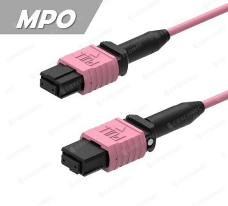 Cable de parcheo de fibra óptica MPO a MPO 12F OM4 Método A OFNP 5M - Cable de parcheo de fibra óptica OM4.