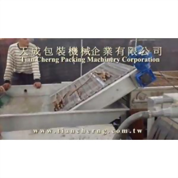 農產品清洗設備 29-4 - 一台灰色工業清洗機正在運作,輸送帶將棕色塊狀物從水池中送出,一名穿條紋上衣的工人站在機器旁。