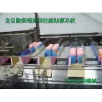 Fully Automatic Carton Sealing, Bagging, Shrinking and Labeling System (Hot Melt)