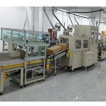 Fish Farm Packing System - An integrated automated packing system for fish farms, showcasing the carton erector, conveyor, and sealer in a complete line.