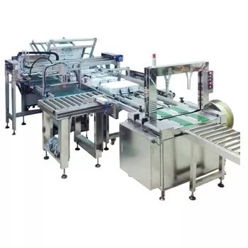 Automatic Packaging System - An integrated automatic packaging system for frozen food, showing the carton sealing and strapping process.