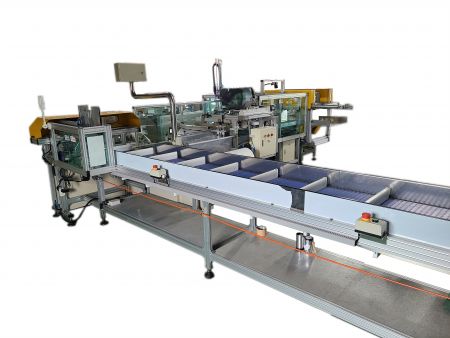 Courier Bag Packaging Machine (Case 12)