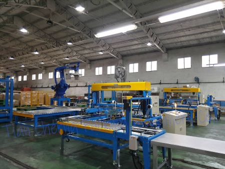 Large Carton Sealer - H-Type Sealing (Case 3)