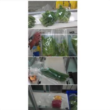 蔬果套袋包裝系統 29-5 - 四張照片組成的拼貼圖,顯示綠色葉菜、長條狀蔬菜及彩色蔬果,正被透明塑膠袋獨立包裝,置於白色輸送帶或工作檯上。