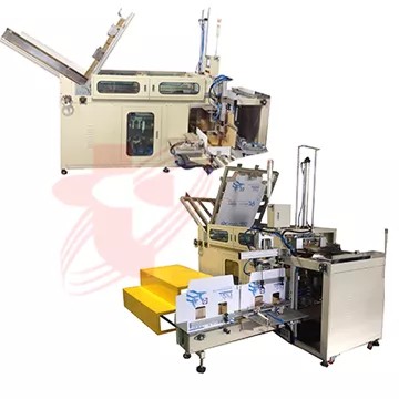 Box Erector Packing System