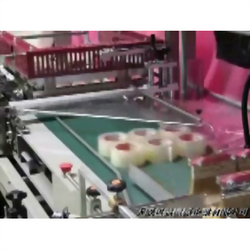 Permutation Bagging & Shrinking Packaging Machine (Case 7)