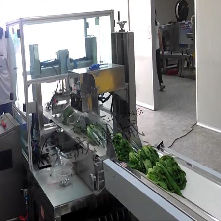 Vegetable Packing Machine (Case 6)